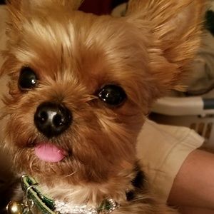 Meet your Posher, Kelly